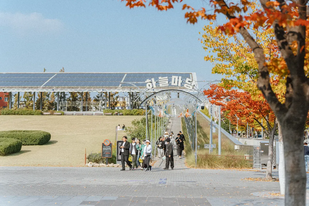 秋の韓国の公園で歩いている観光客。周囲には色とりどりの植物が咲いている。