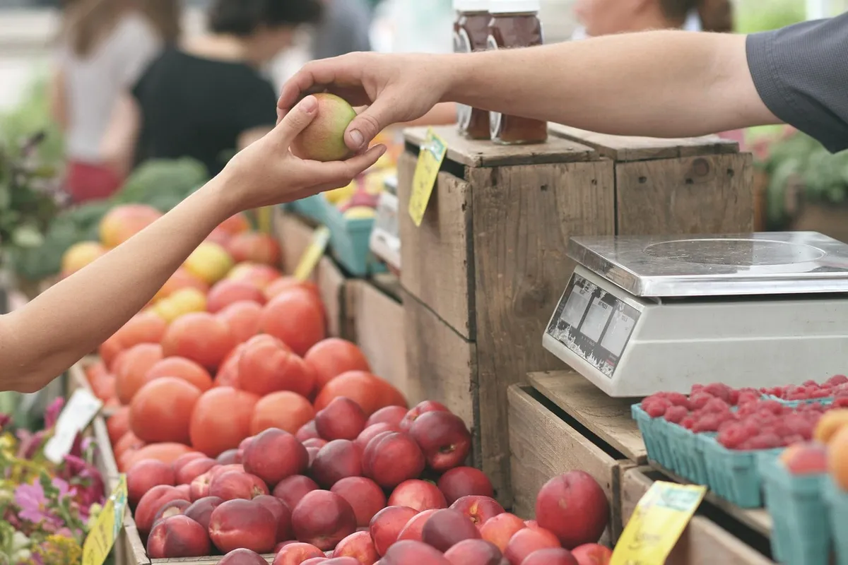 apples, farmer's market, buy, buying, consumer, customer, sell, business, deal, fruits, give, hands, sale, produce, fresh produce, fruit stand, buy, buy, buying