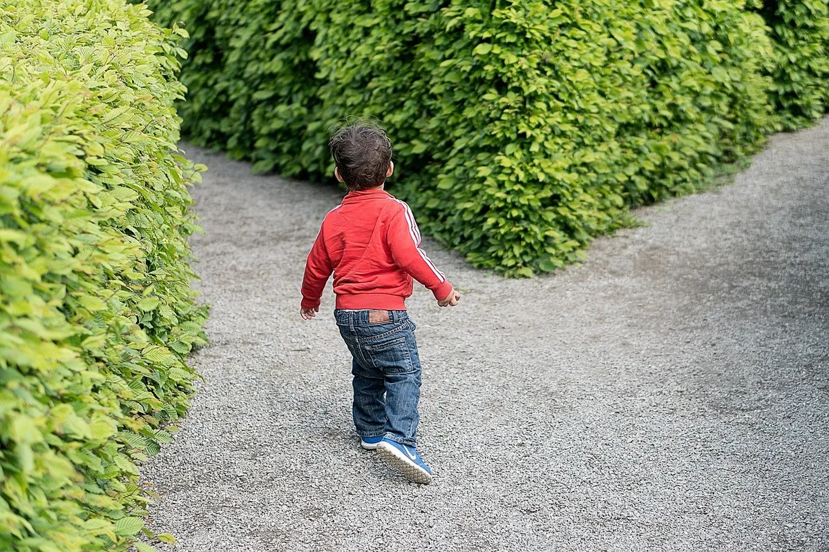 child, crossroad, kid, choice, direction, what, way, choosing, road, life, decision, labyrinth, maze, path, challenge, riddle, solution, thinking, complicated,