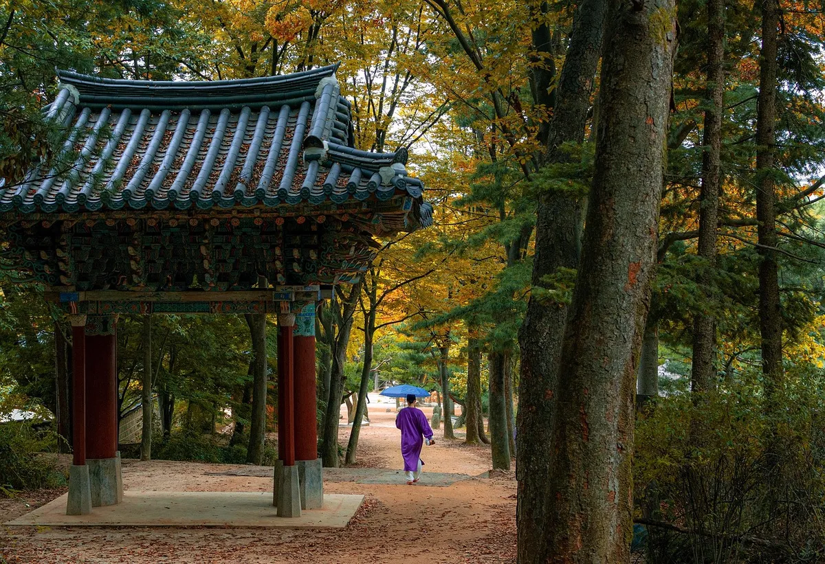 한국 전통 마을, 숲, 나무, 산책, 가을, 가을, 정원, 공원, 문화, 마을, 전통, 역사, 관광, 자연, 한옥, 민속마을, 민속처